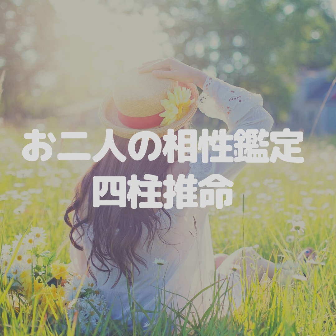 お2人の相性♡♡♡四柱推命「宇宙盤」作成致します 二人の運命は結ばれるかどうか、ズバリ!グラフから読み取れます イメージ4