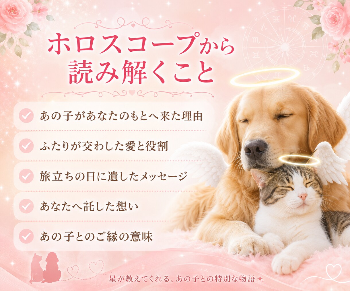 ペットロス【命日鑑定】を西洋占星術で読み解きます あの子が最後にあなたに伝えたかったメッセージ/ペットの気持ち イメージ3