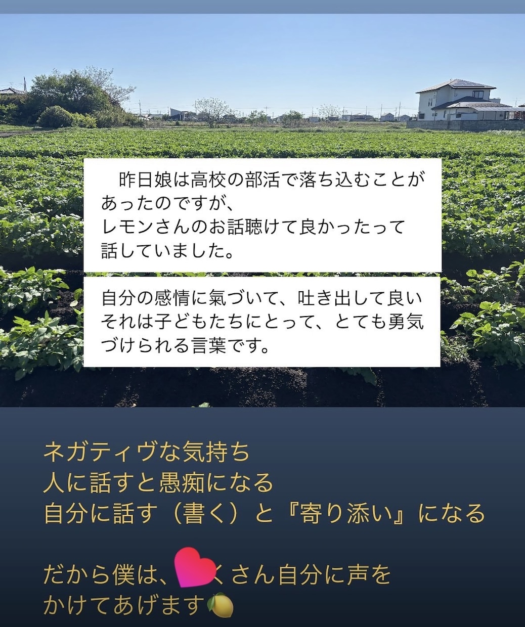 気持ちの寄り添い方・あなたの強みを教えます 自分を変えるのではなく、自分を受け入れる。 イメージ10