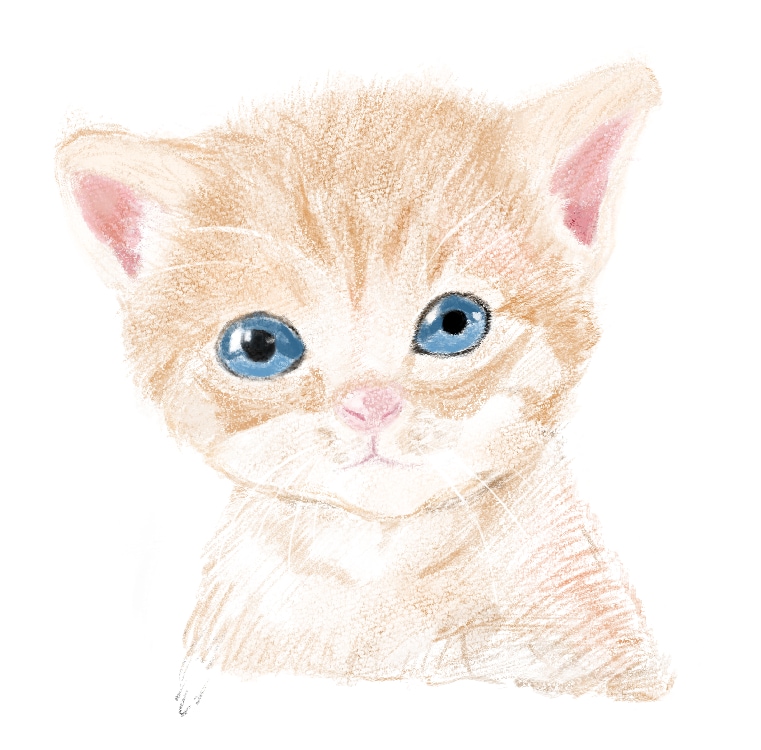 大切なペットのイラストを描きます 大切なペットとの思い出の一枚を イメージ2