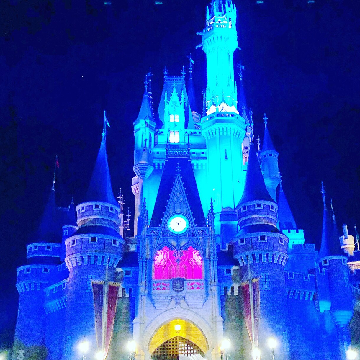 ディズニーリゾートのトリビア、些細な情報を教えます アトラクションに並んでいる間に話題のネタになるものをご紹介！ イメージ2