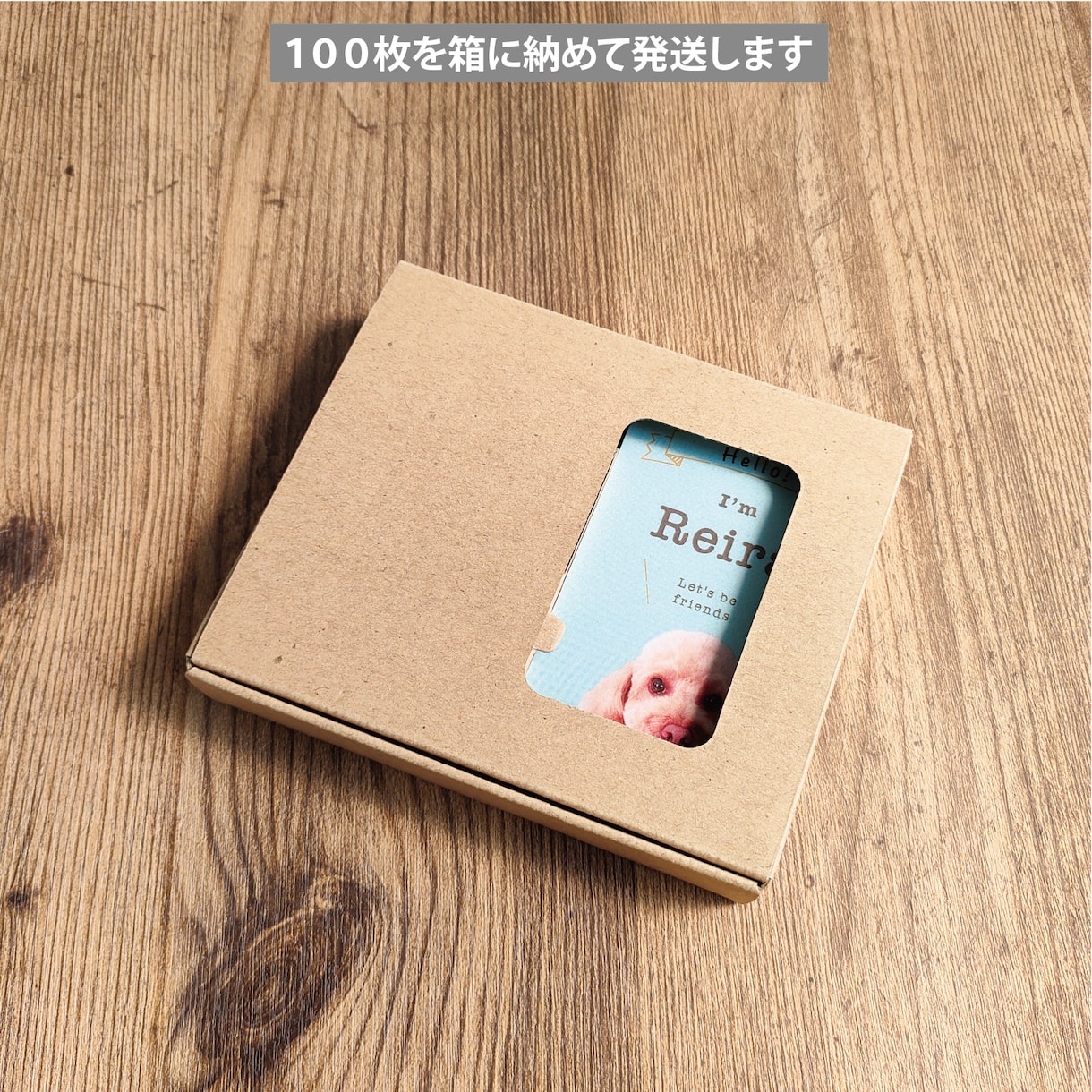 写真入りでペット名刺をシンプルデザインで作ります デザイナーへのセミオーダー！両面印刷100枚　送料無料 イメージ8