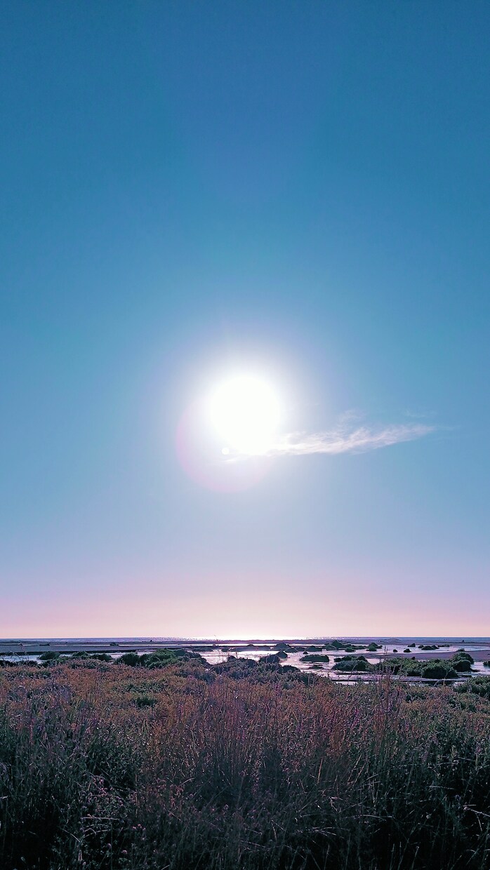 自己愛パートナーや境界線の悩み、海外から傾聴します 経験者だから共感できる。カサンドラの孤独な心に寄り添います イメージ2
