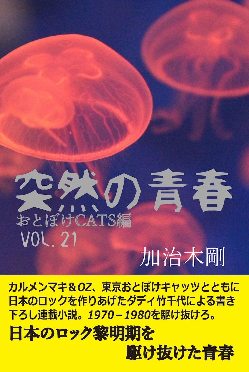 丸投げOK！電子書籍ペーパーバック出版代行します 【ビジネス紹介・自己アピール】あなただけのオリジナル文章を イメージ8