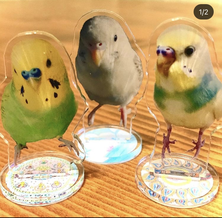 ペットの画像からオリジナルグッズのご製作致します あなたのペット画像を編集してオリジナルグッズをご製作します。 イメージ2