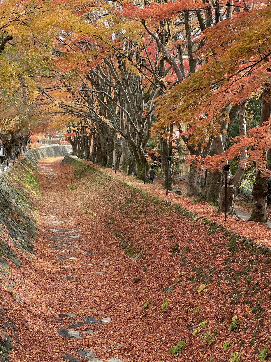 離婚するか悩んだ時、まずどうするかの相談にのります お金の事、住む場所、子ども、弁護士…一つずつ整理しましょう！ イメージ2
