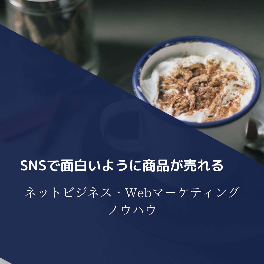 ネットビジネスでの商品販売のノウハウ教えます 面白いくらい商品が売れるビジネスのノウハウ イメージ1