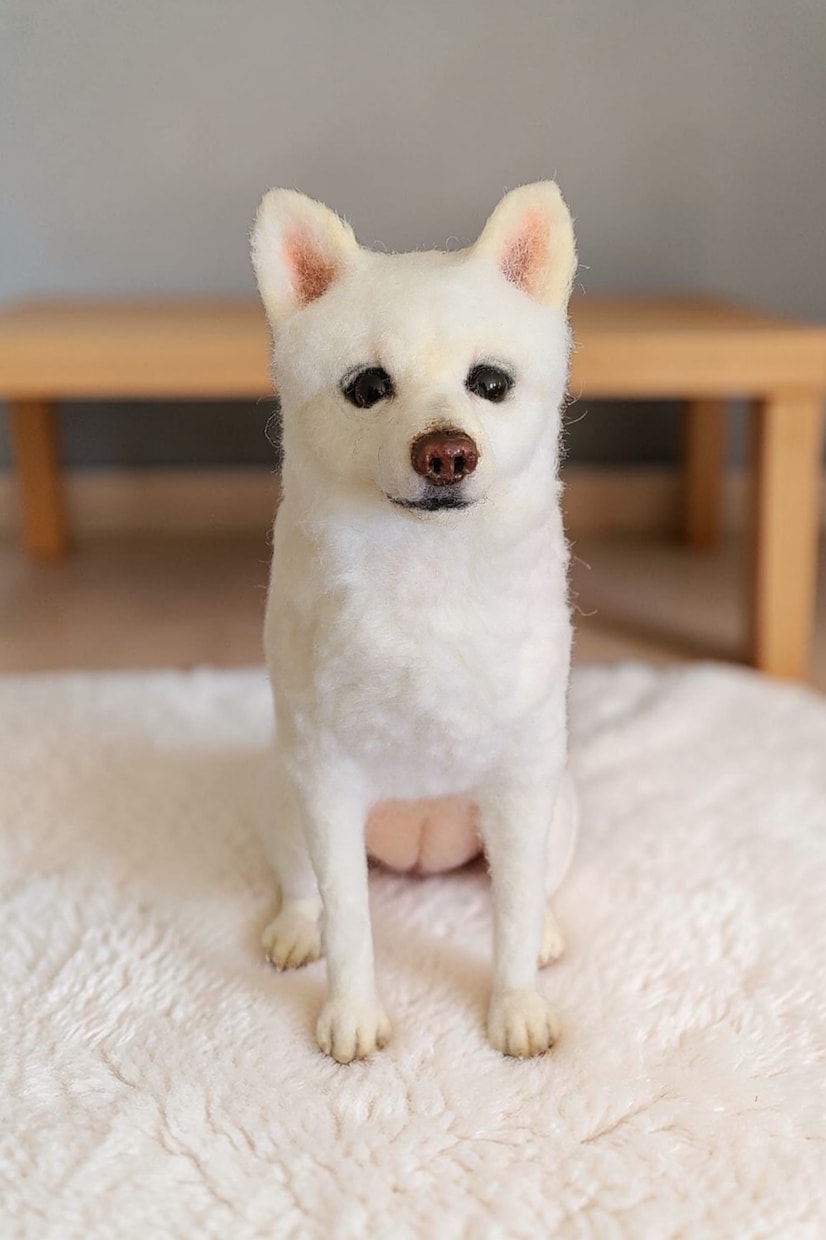 大切な愛犬さんをお作りします 世界にたった一つ♡うちのコ羊毛フェルト♡ イメージ4