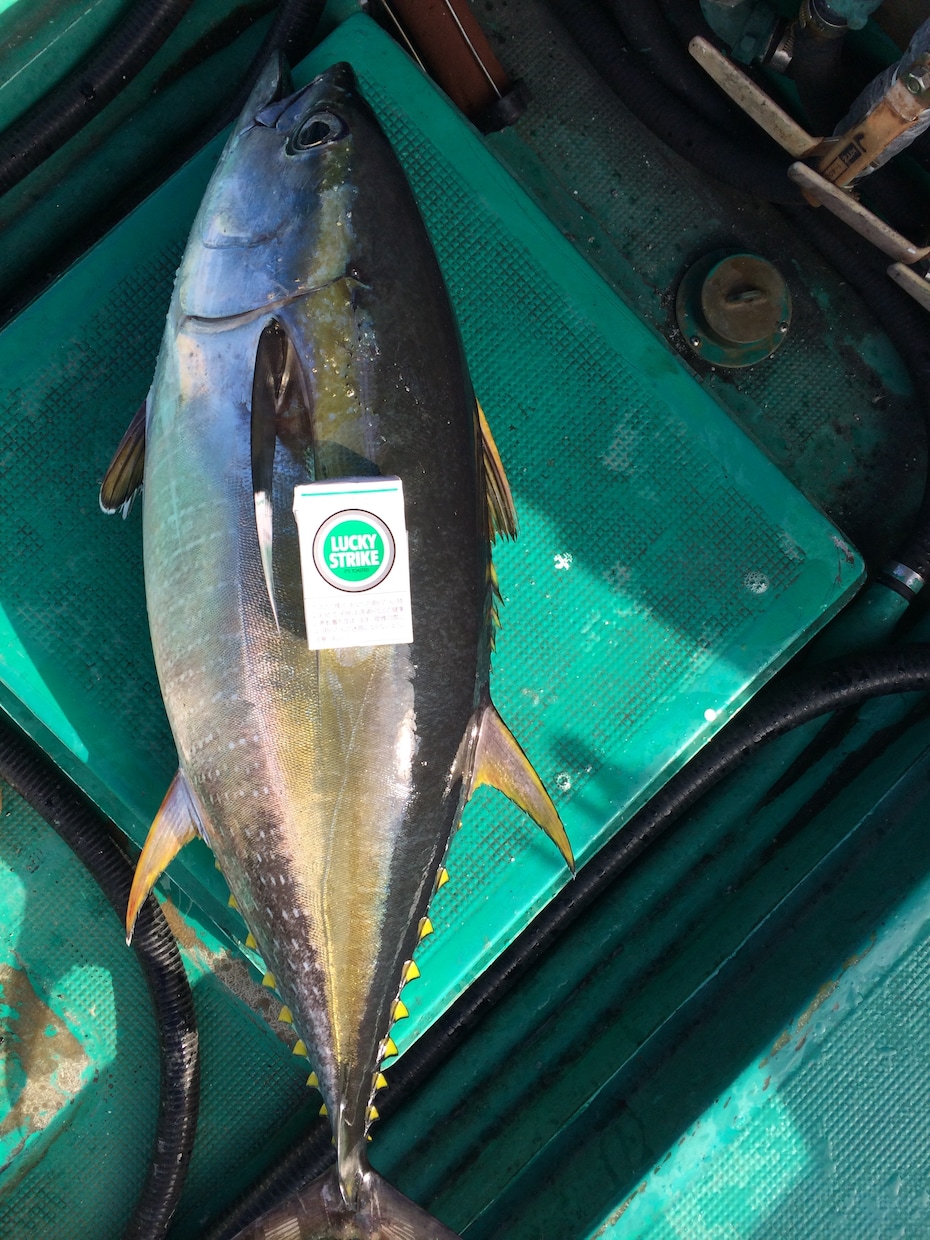 実績あり！釣り針の結び方、趣味漁師が直伝します 漁師の世界は企業秘密。だからこそ価値がある。 イメージ2