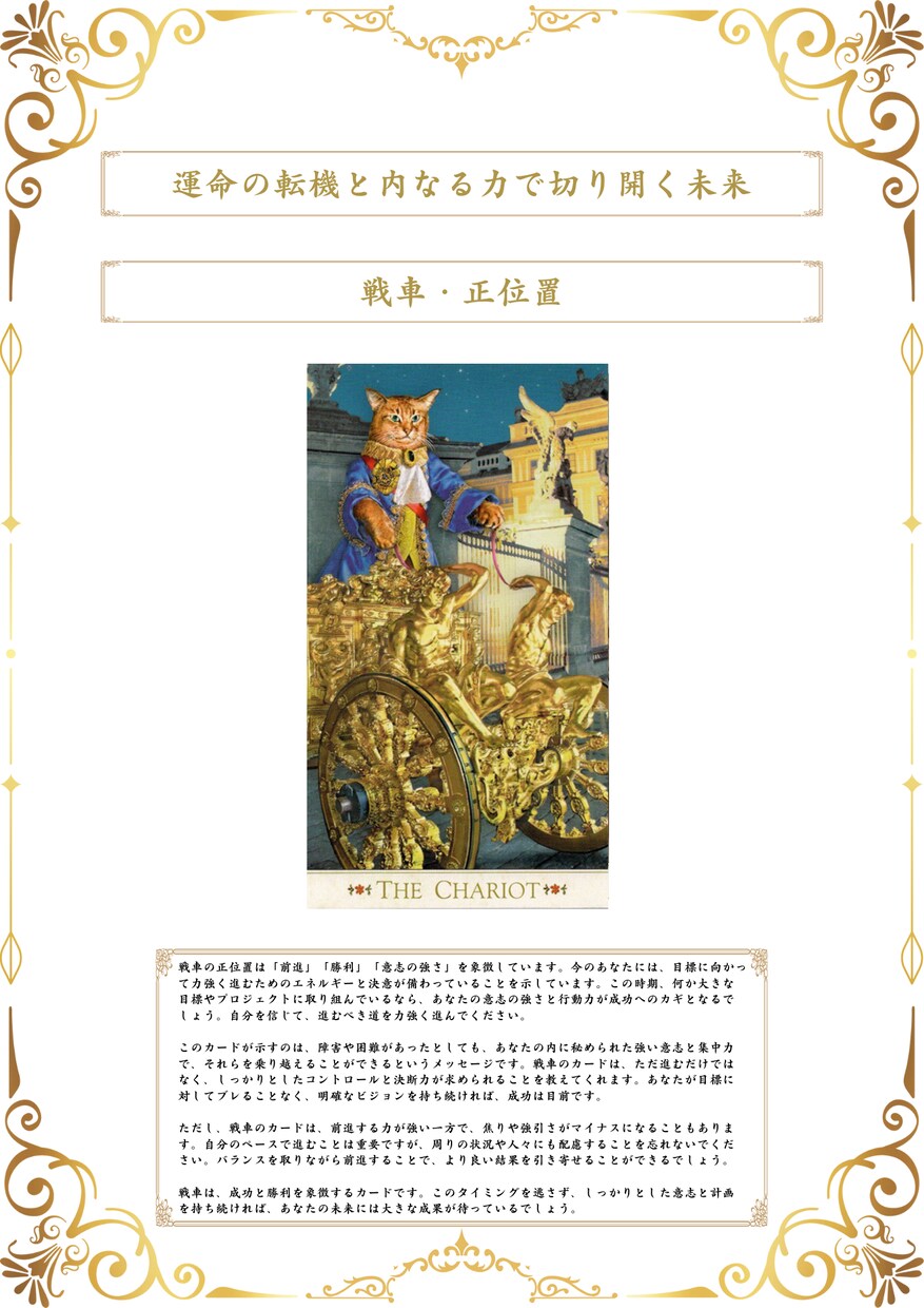 あなたの今の悩みを『灯命タロット鑑定』で解決します いつまで霊視やスピリチュアルに頼り人生を振り回され続けますか イメージ5