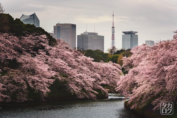 最短1日！曇り空も晴れ空に！！画像編集受け承ります 画像の切り抜き、合成などを最短翌日までに完成させます！ イメージ2
