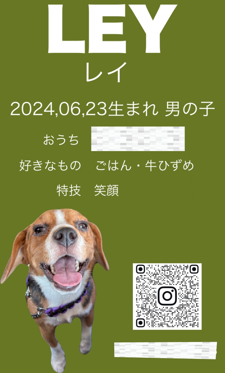 世界に一つだけの愛犬名刺、作ります 思わず配りたくなる、うちの子の特別な一枚 イメージ3