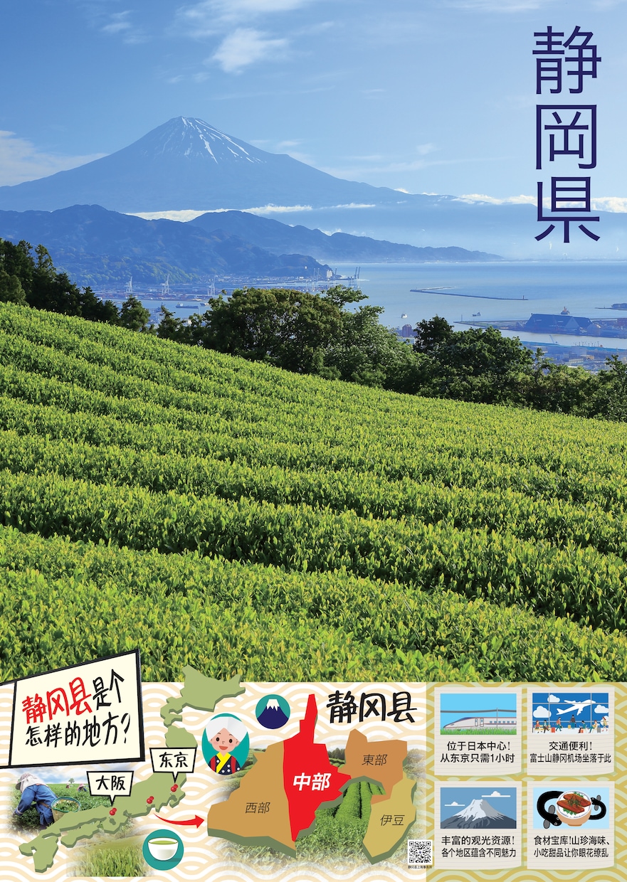 現役が制作！チラシ・パンフレット制作いたします プロのデザインで、伝わるチラシを。 イメージ3