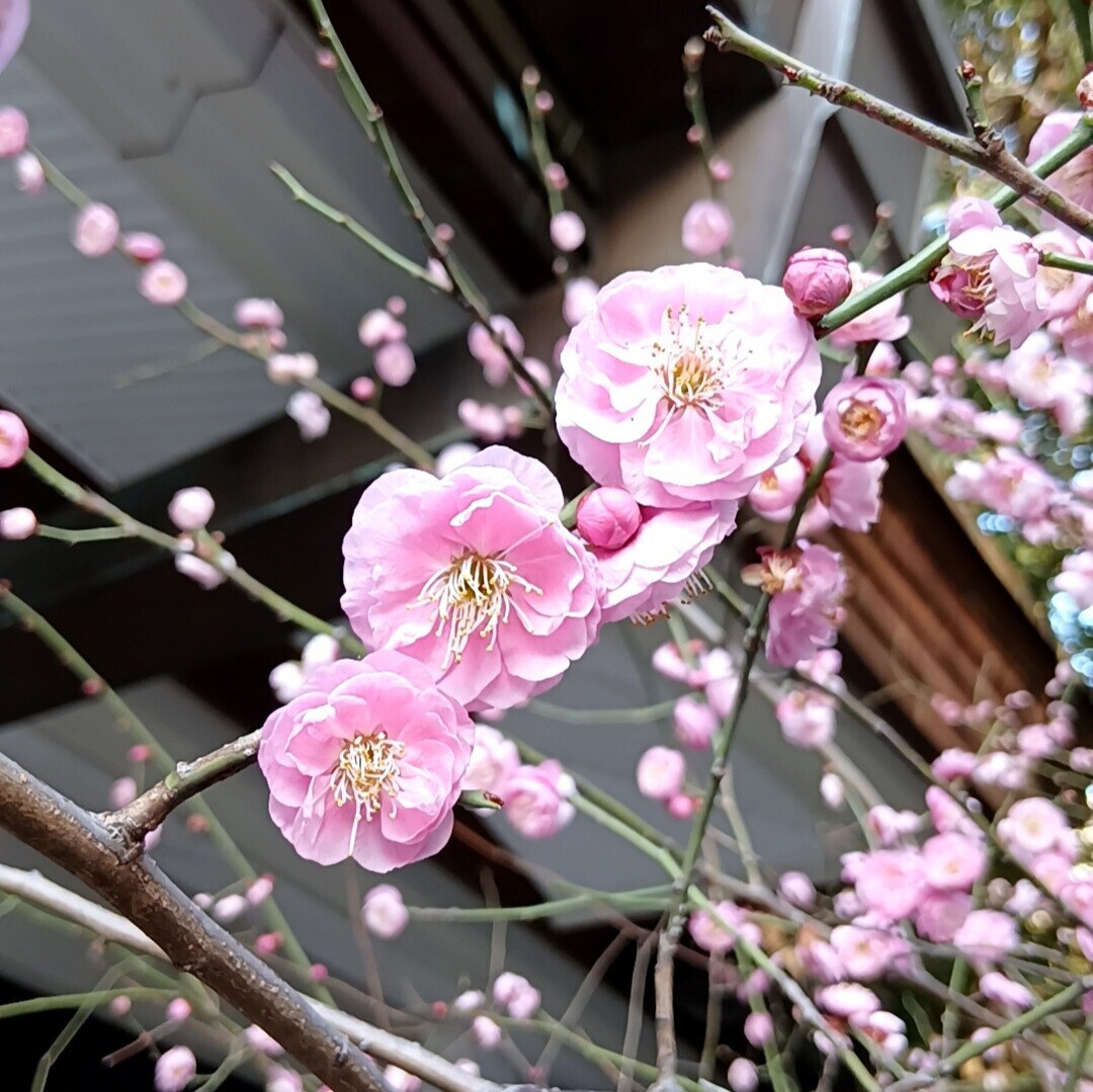 自身の潜在能力を見つけ出し、希望ある未来へ導きます 性格分析、魅力開発、あなたを開運へと導きます イメージ4