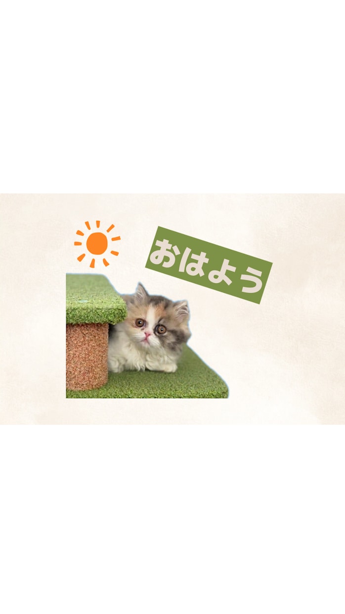 一生使える ペットのLINEスタンプを作成します 愛しのペット達のオリジナルLINEスタンプを作成します。 イメージ3