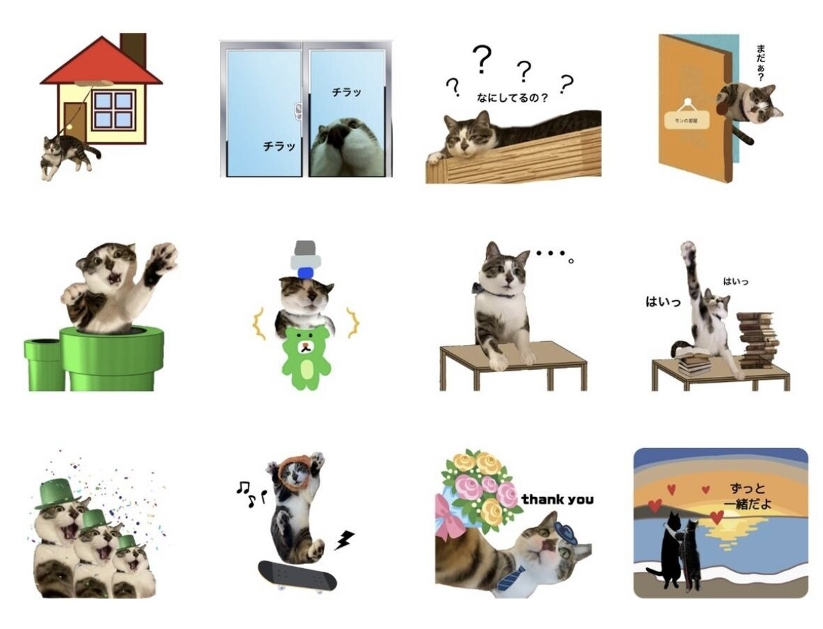 眠っているスマホの写真でLINEスタンプを作ります 可愛くて撮ったフォルダに入ったままの写真をLINEスタンプに イメージ4