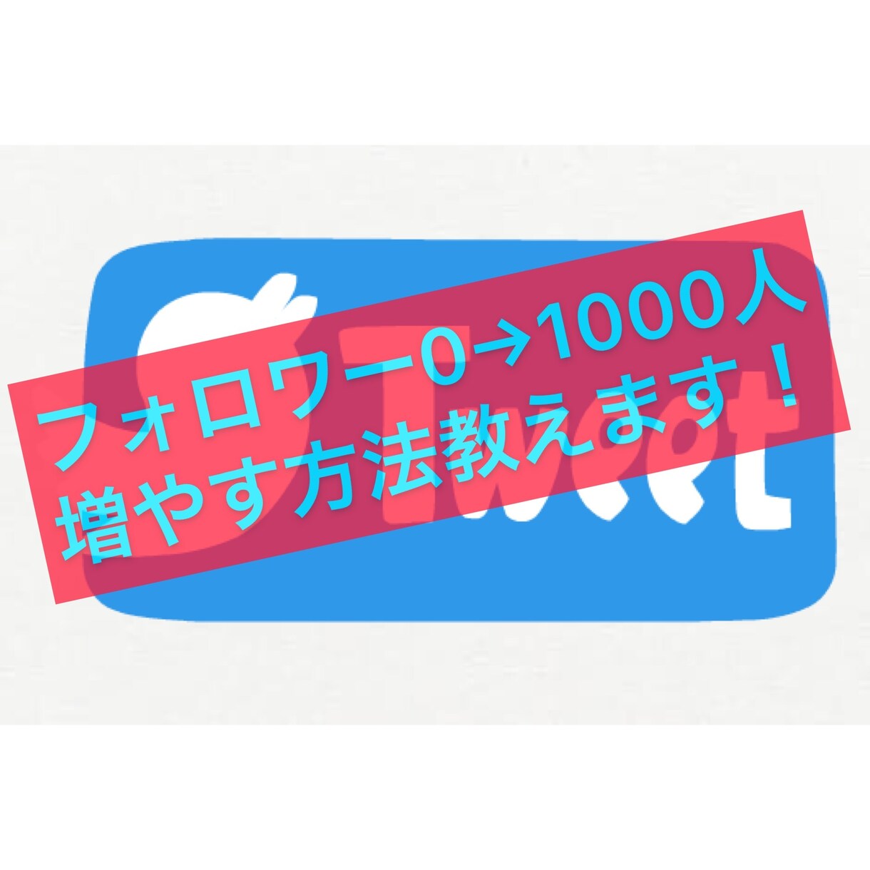 Twitterのフォロワー0→1000人増やします Twitterのフォロワー0→1000人へ増やす方法教えます イメージ1