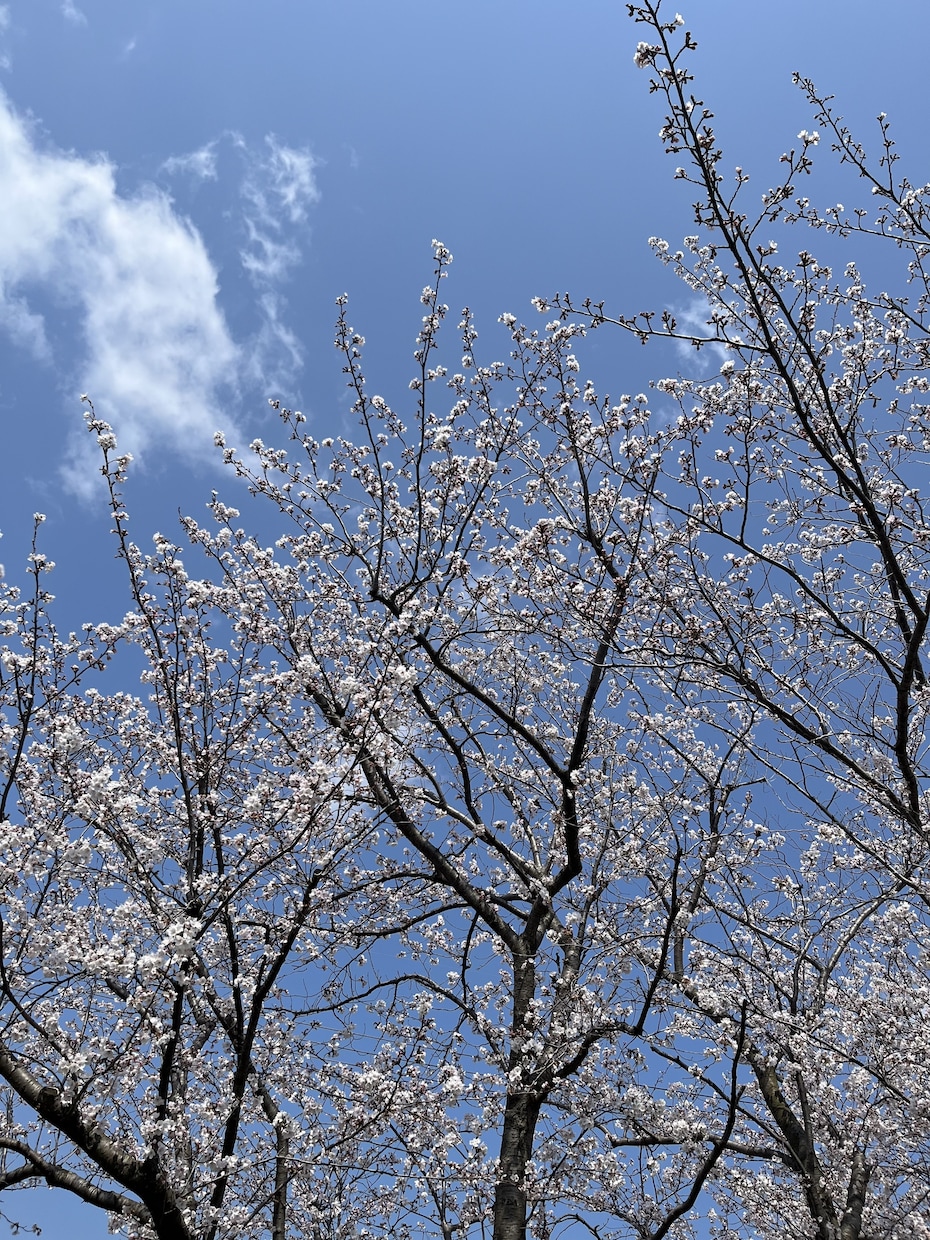 障害持ちなママのリアル語ります 障害ありのママの日常と気づきをお届けします。 イメージ1