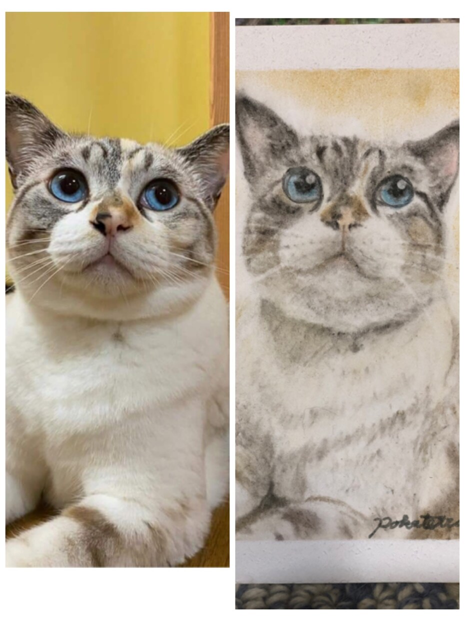 写真を元に動物の顔の似顔絵を描きます パステルアートで描くので柔らかく温かみのある似顔絵です。 イメージ4