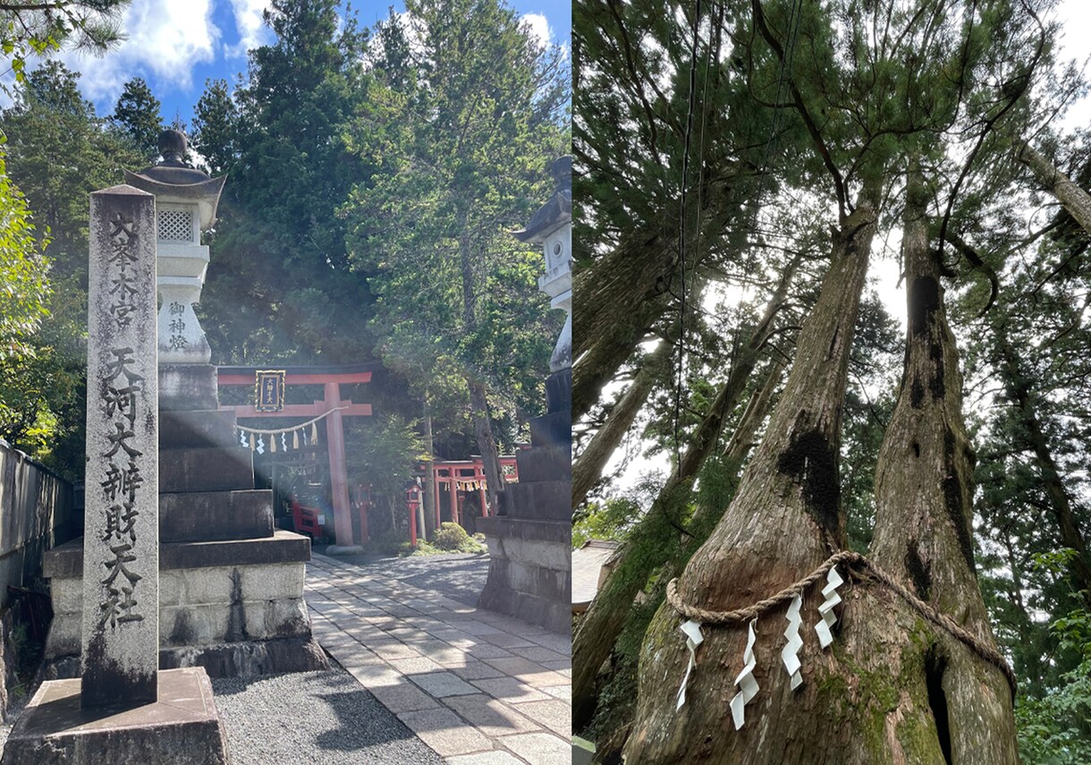 海神四柱推命/神理と慈悲で大人の戦略占います 慰めは不要。厳しい現実(神理)と次の一手(慈悲)を イメージ9
