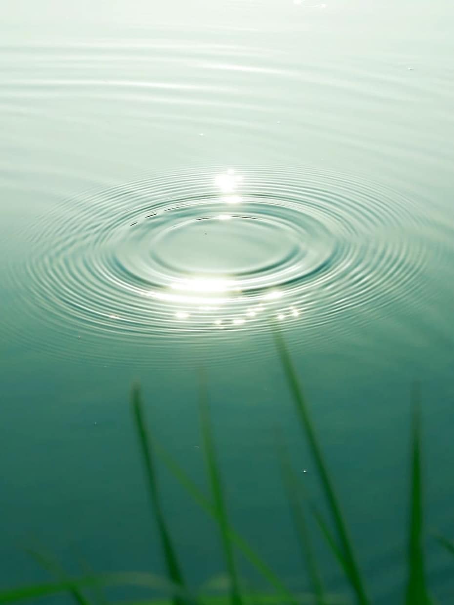 彼の気持ちと未来の行方カードが静かに教えてくれます 小さなきっかけが あなたの未来をそっと動かし始める イメージ1