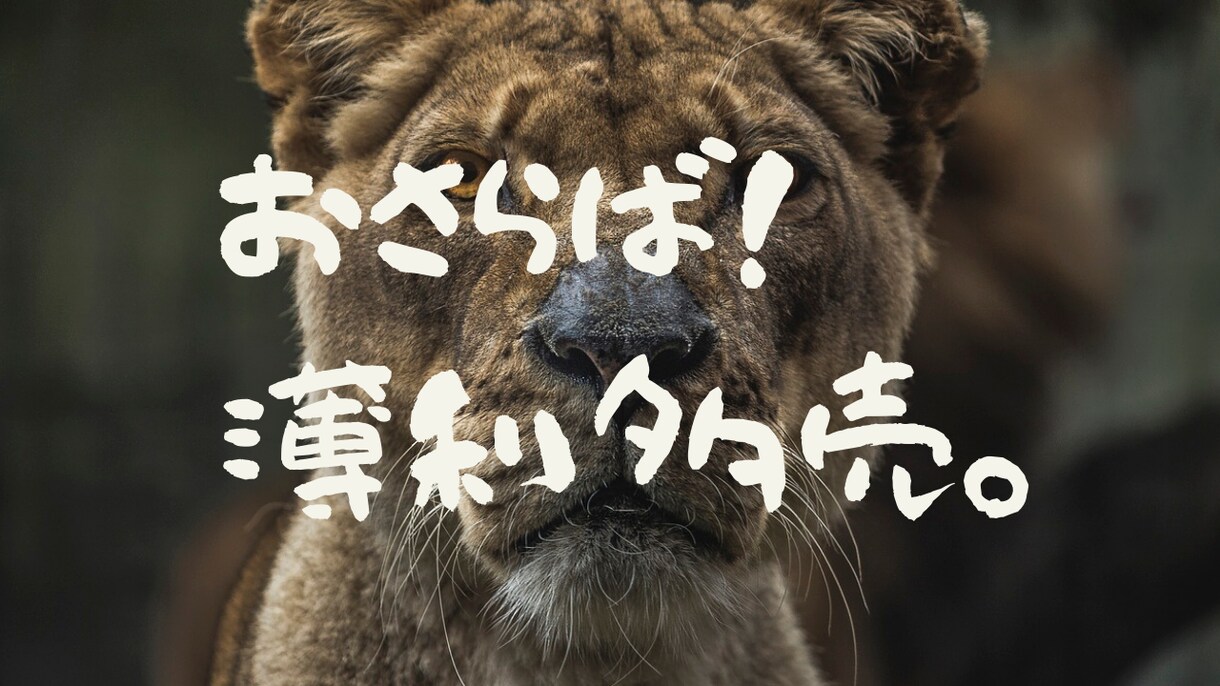薄利多売よサヨウナラ！盲点ついたフリマ転売教えます 楽しく転売！ココに焦点を当てて、利益に悩まなくなりました。 イメージ1