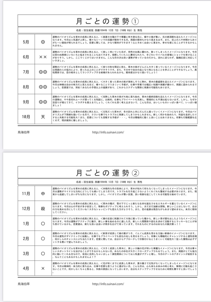 リピーター様専用‼️四柱推命鑑定書12枚作成します あなたの運命✨占いの帝王‼️生年月日から導かれる資質, 運勢 イメージ6