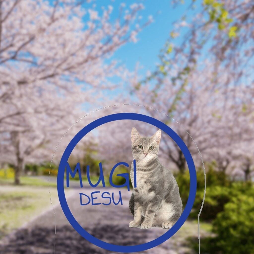 日常使いできる愛犬愛猫のオリジナルデザイン作ります シンプル？目立つ？ご希望お聞かせ下さい！かわいく仕上げます イメージ8