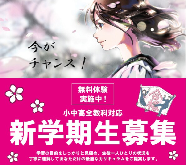 学習塾の集客チラシお作りします 学習塾はもちろん、様々なジャンルに対応可能です！ イメージ3