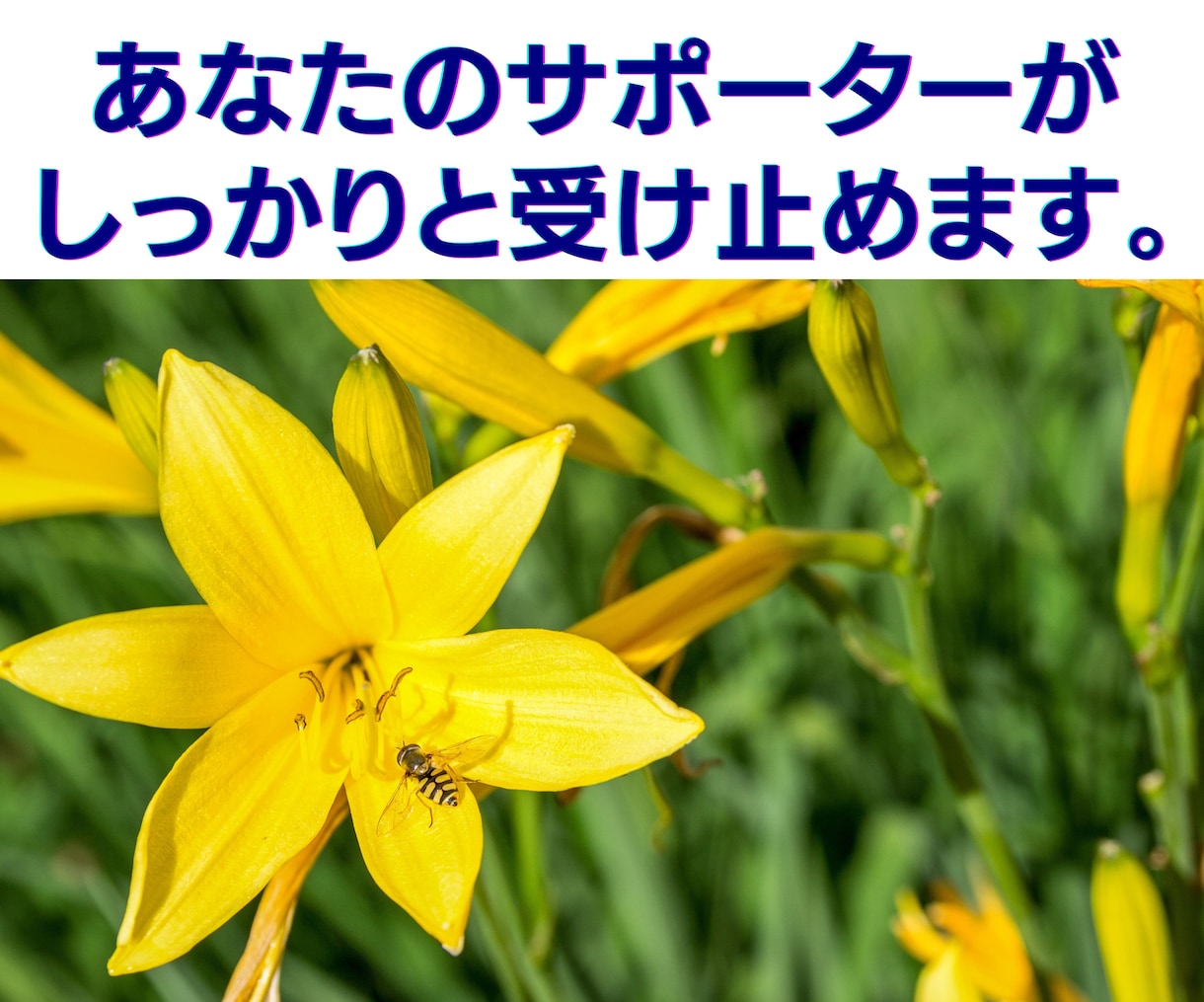 あなたの怒り・ネガティブ感情キャッチ⭐受け止めます イライラ❗不満/上司/愚痴を吐き出せる秘密❤️の部屋です イメージ7