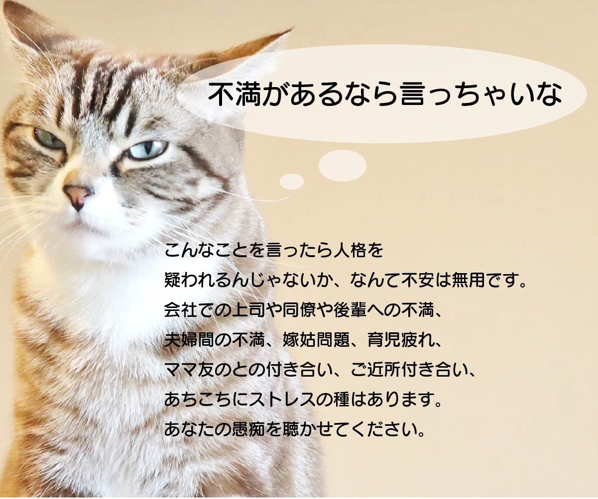 誰にも言えない愚痴お聴きします 誰かに言わないと爆発しそう！という方、ぜひお話ししましょう イメージ1
