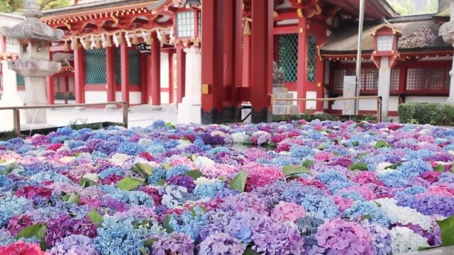 沖縄ユタ霊視タロット　お相手の気持ち感じ取ります 相手の気持ち、未来読み取り、いずれ納得、霊視、霊感タロット イメージ9