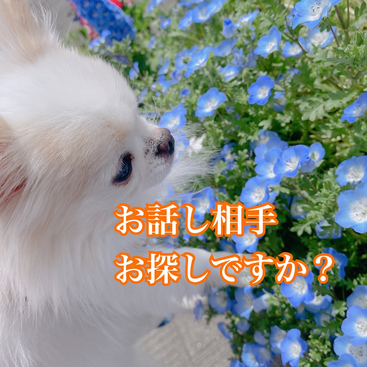 こんな時だから、なんでもお話し聞きます みんな辛いよね。愚痴や不満、心配事、なんでも聞きます イメージ1