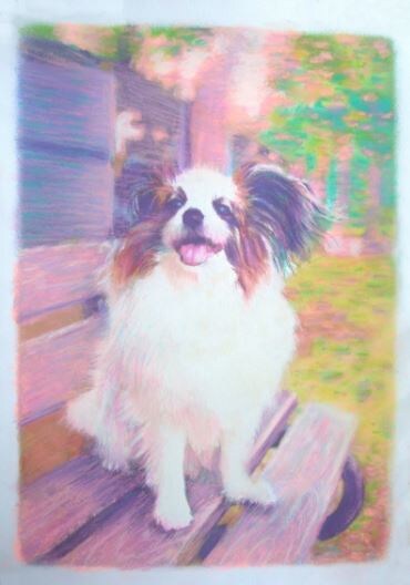 美しい似顔絵、描きます パステル、ワトソン紙　飾る似顔絵　色が美しくそっくり～♪ イメージ2