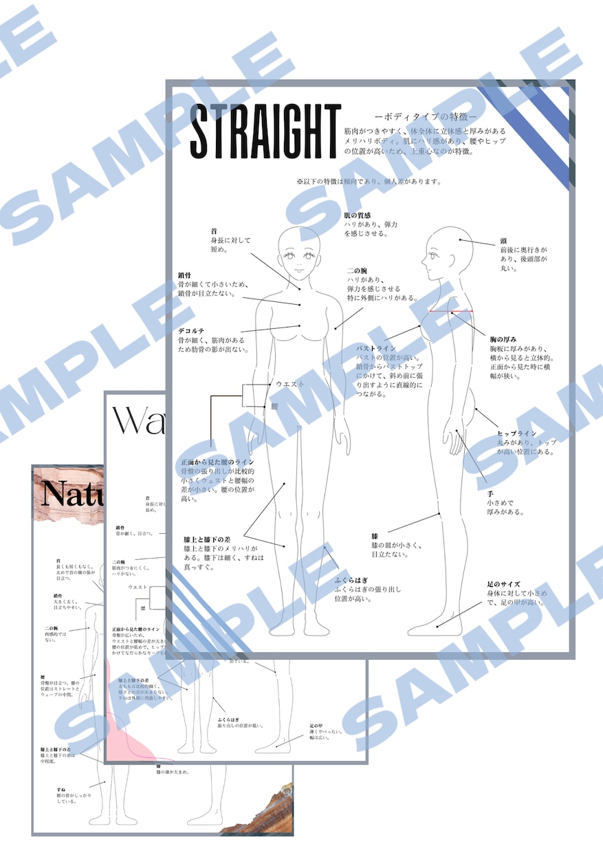 アドバイザー用◇骨格診断◇説明資料を販売します 初心者さんでもすぐ始められる！ユーザーフレンドリーな仕上がり イメージ2