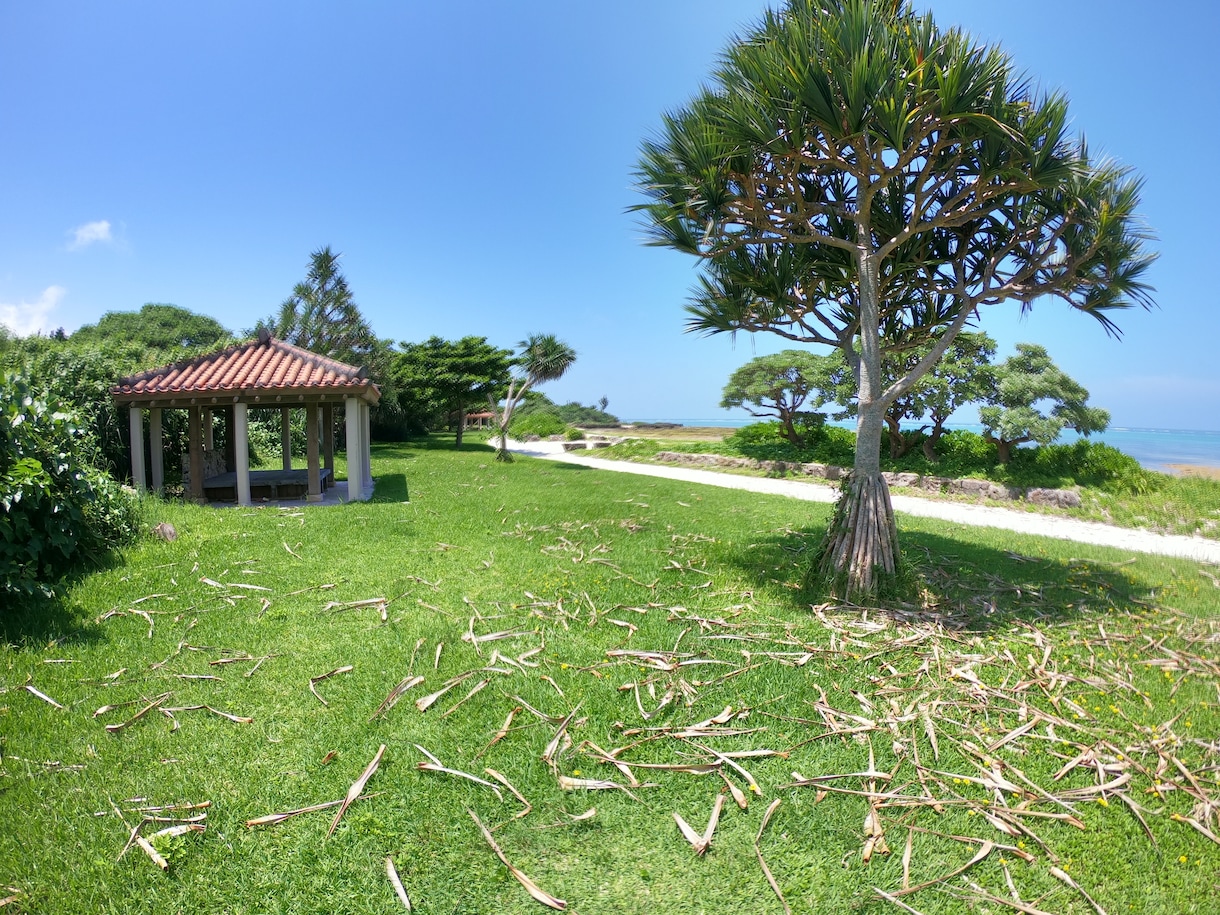 SNS用の写真撮影代行をします 【沖縄本島限定】SNSなどで使える写真を提供します！ イメージ2