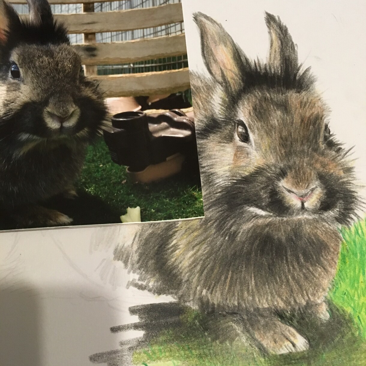 手描きで雰囲気のあるイラスト・挿絵をお描きします ほっこり平和な気持ちになれるイラスト・挿絵を制作いたします。 イメージ3