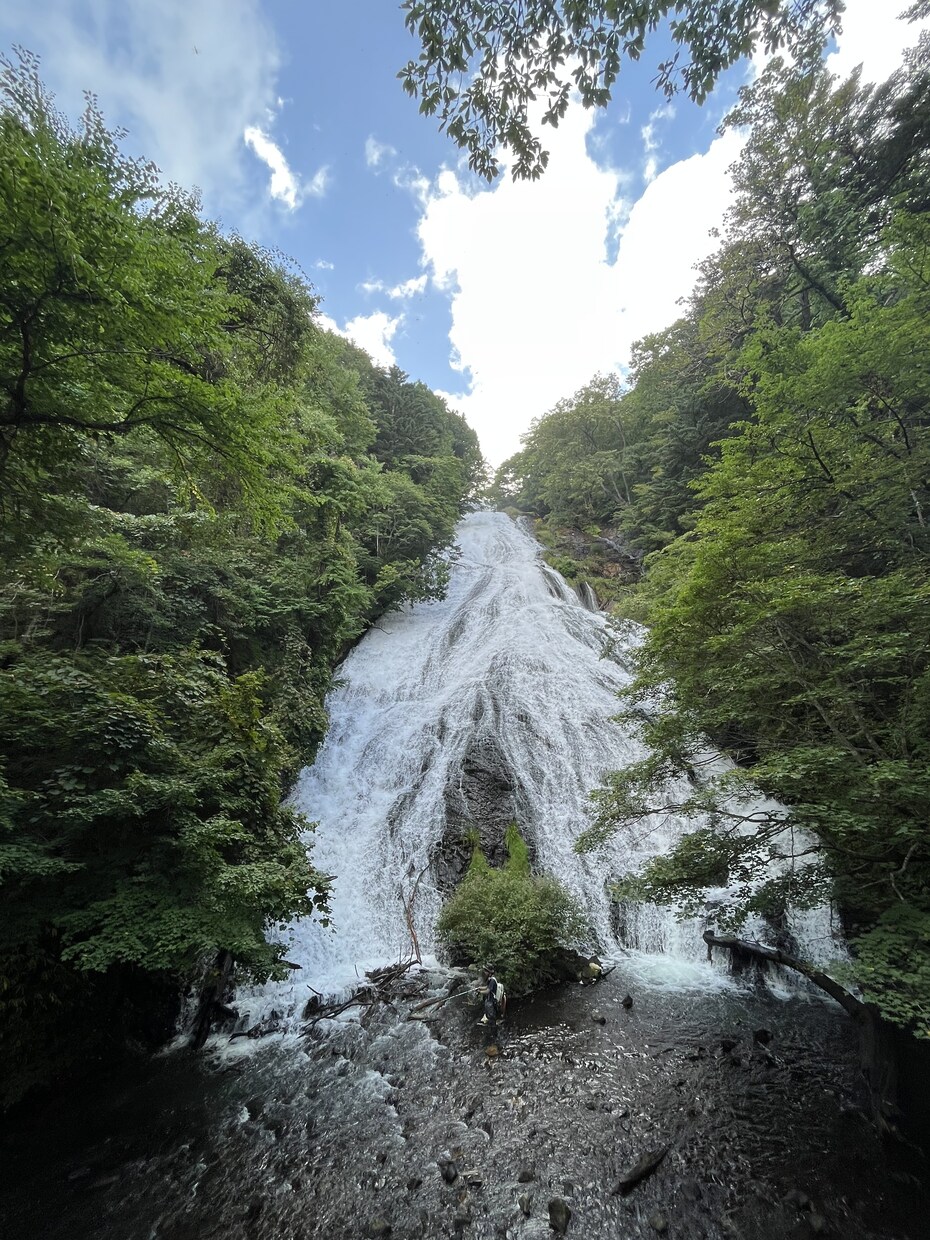 今すぐ笑顔になりたいあなたに寄り添います おしゃべりで心のもやもや解消！年齢や世代を超えてお話しします イメージ3