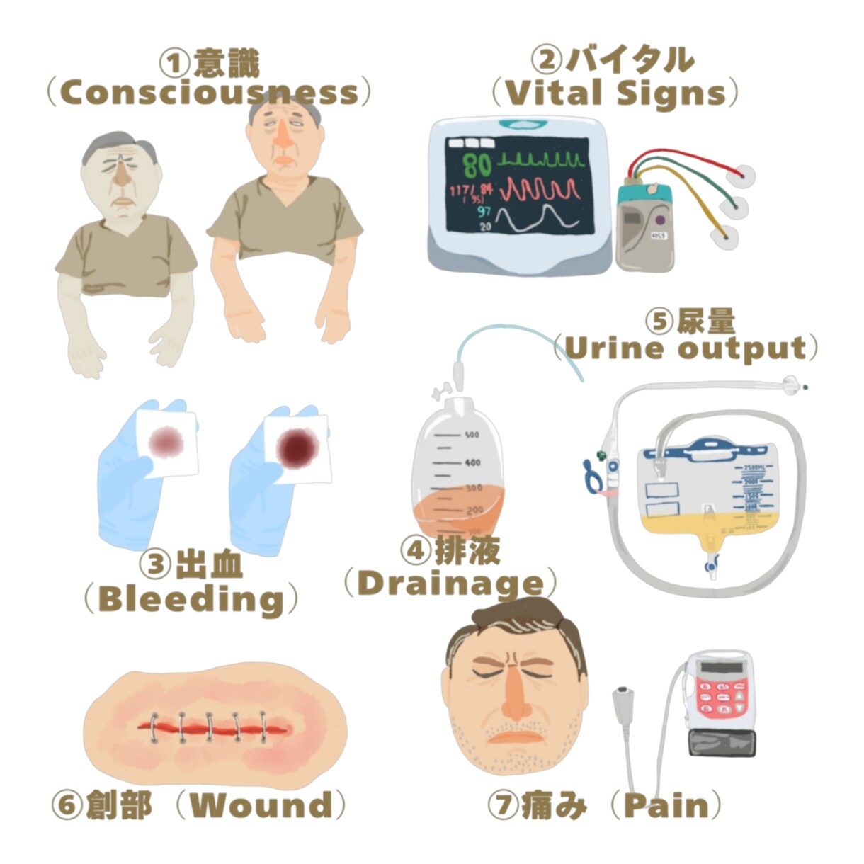 医療をわかりやすく図解イラスト作成します 勉強と臨床のズレを埋める医療ビジュアル制作します イメージ3