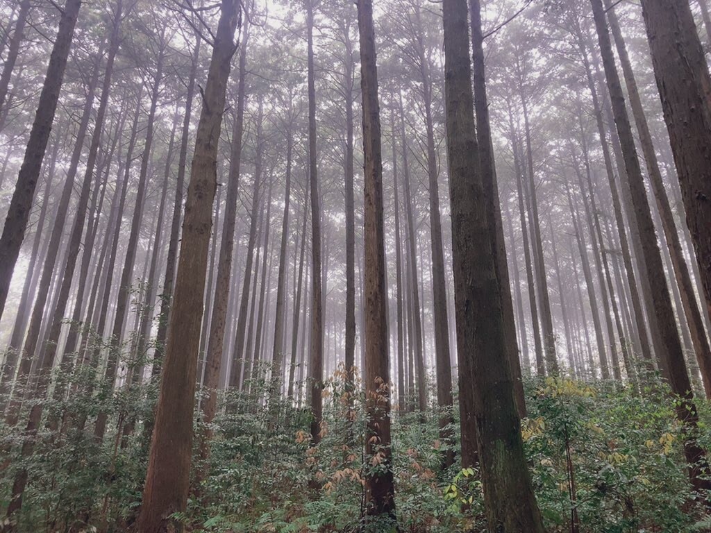 100%あなたを肯定して話を聞きます 悩み苦しみ不安生きづらさ抱えてる事全て吐き出しませんか？ イメージ6