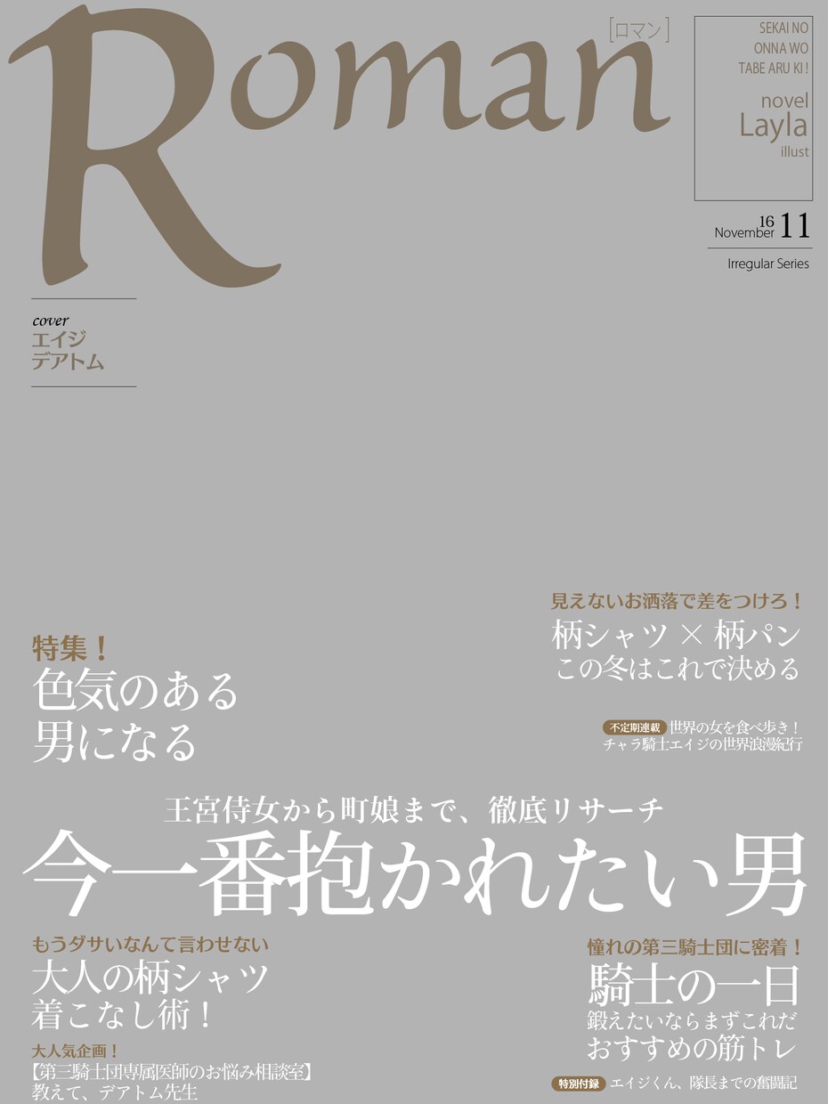 小説などの表紙絵に、文字入れを行います 【有償依頼実績70件以上】デザイン性のあるタイトルロゴの作成 イメージ8