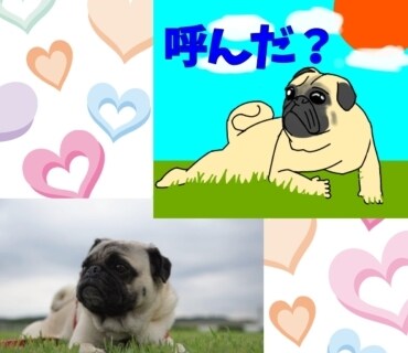 かわいいペットの似顔絵をLINEスタンプにします 鼻ぺちゃ犬が得意です（作成実績200枚以上！！） イメージ3