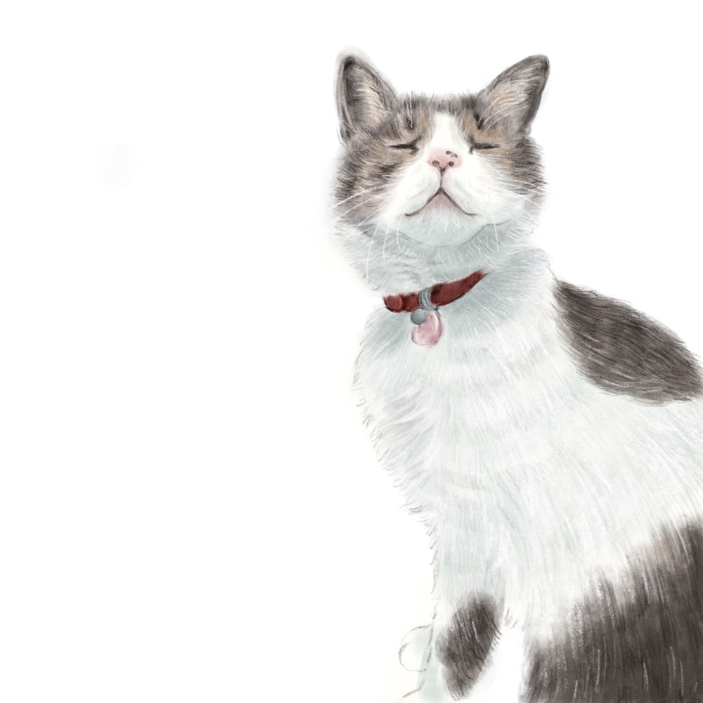 柔らかいタッチでペットのイラストを描きます 大切な家族の一員をイラストにしてみませんか？ イメージ7