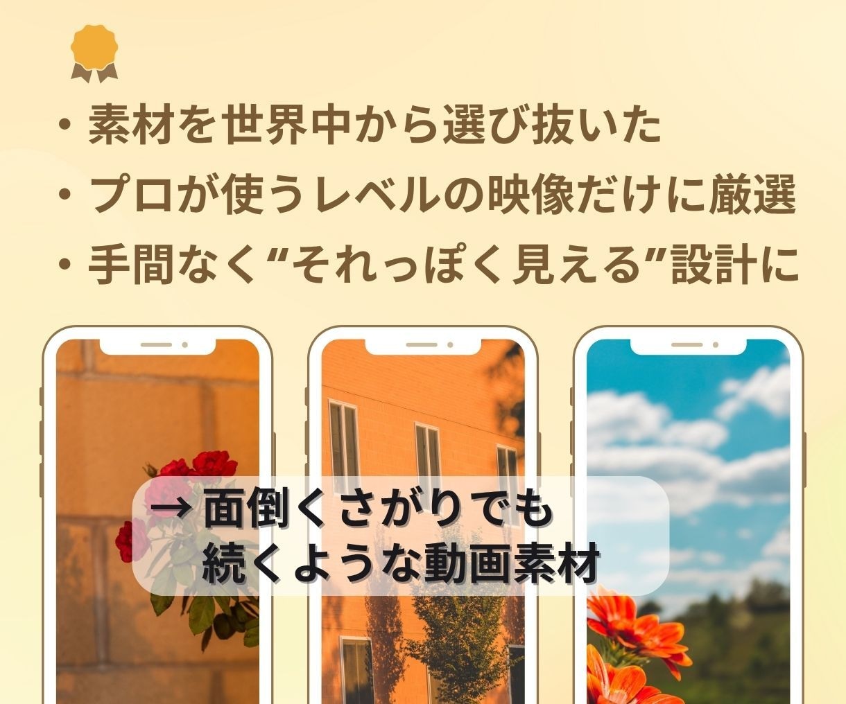 投稿ネタ不要スマホ映え縦動画素材1500本渡します 撮らずに映える。忙しい人も投稿が続く。初心者もすぐ使える イメージ7