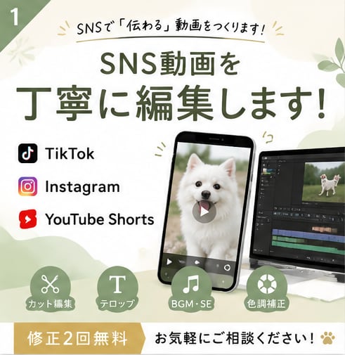 SNSショート動画を編集します SNS動画を丁寧・迅速に編集します イメージ1