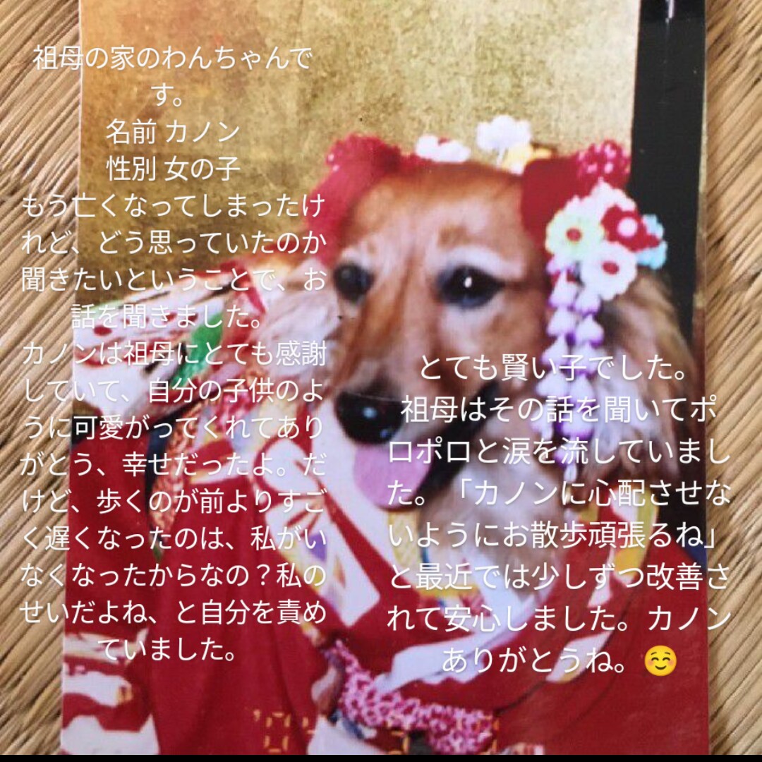 動物さんのお話を翻訳してお伝えします その質問、翻訳します！！理解することで深まる絆 イメージ5