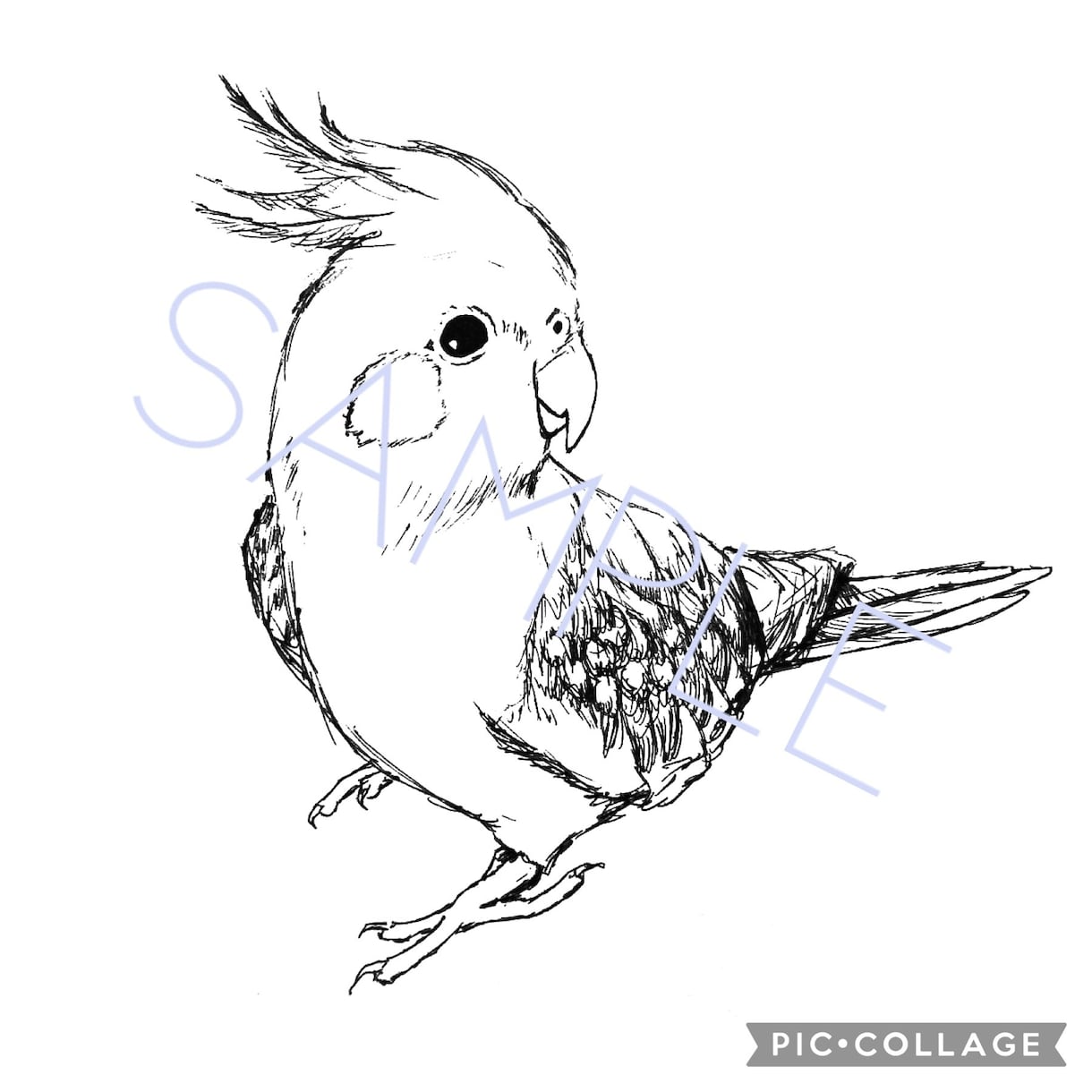 ペットのイラスト描きます 思い出をイラストとして残したい方へ（背景無し） イメージ4