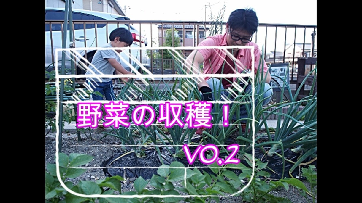 某テレビ番組の監修者が家庭菜園の悩みお答えします 家庭菜園で何から始めようか迷っている、失敗した事がある貴方へ イメージ1