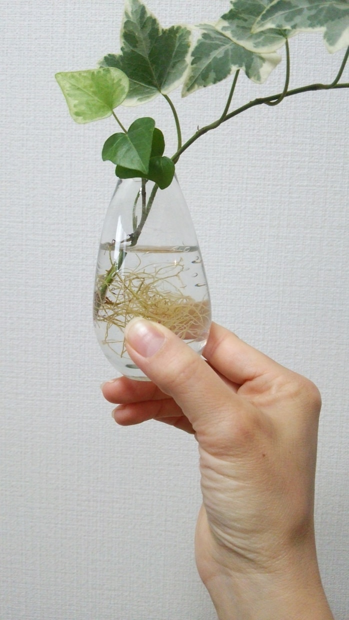 雑誌、チラシ、Web広告用の「ハンドモデル」します 健康的で艶のある手で！指輪、時計、アクセサリー等を際立てます イメージ4