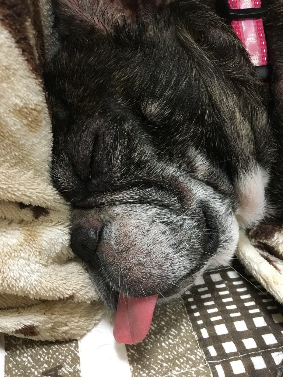 眠りについての悩み聞きます 夜寝たいのに寝付けない。そんな方に電話による相談を受けます。 イメージ1